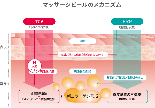 マッサージピールのメカニズム